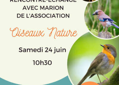 Rencontre-échange avec Marion de l’association Oiseaux Nature