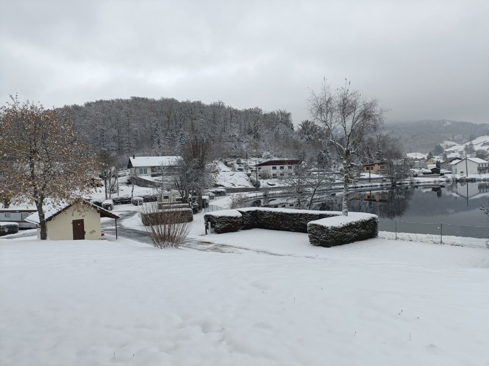 IMG20241122100449